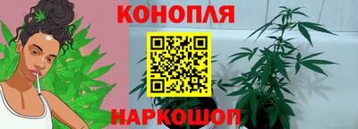 шишки Малгобек